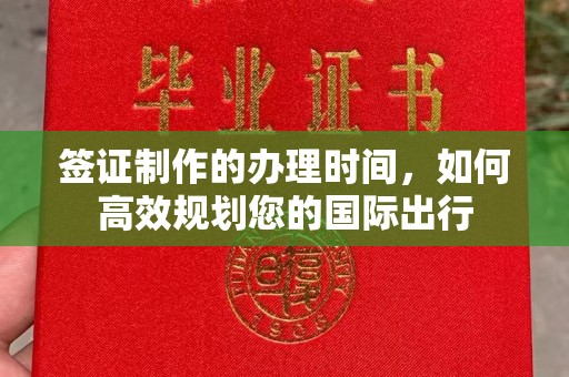 巴楚签证制作的办理时间，如何高效规划您的国际出行