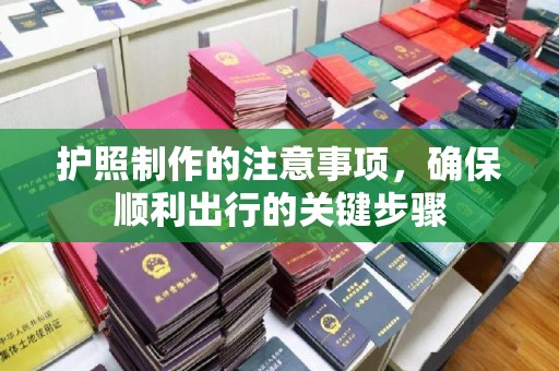 巴楚护照制作的注意事项，确保顺利出行的关键步骤