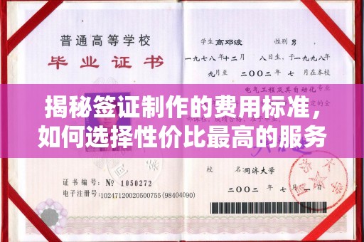 巴楚揭秘签证制作的费用标准，如何选择性价比最高的服务？