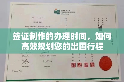 巴楚签证制作的办理时间，如何高效规划您的出国行程