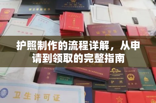 巴楚护照制作的流程详解，从申请到领取的完整指南