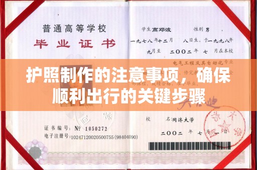 巴楚护照制作的注意事项，确保顺利出行的关键步骤