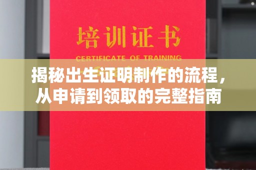 巴楚揭秘出生证明制作的流程，从申请到领取的完整指南
