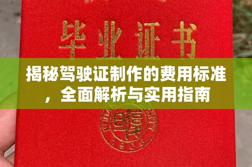 巴楚揭秘驾驶证制作的费用标准，全面解析与实用指南