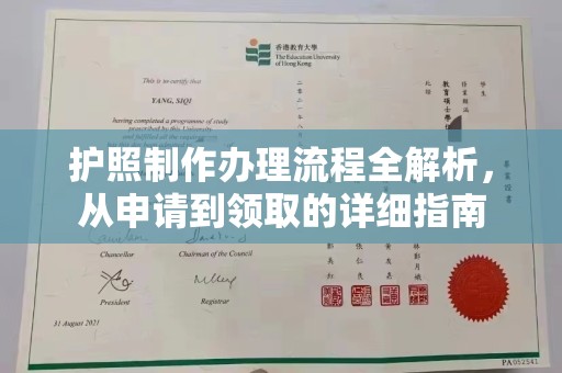 巴楚护照制作办理流程全解析，从申请到领取的详细指南