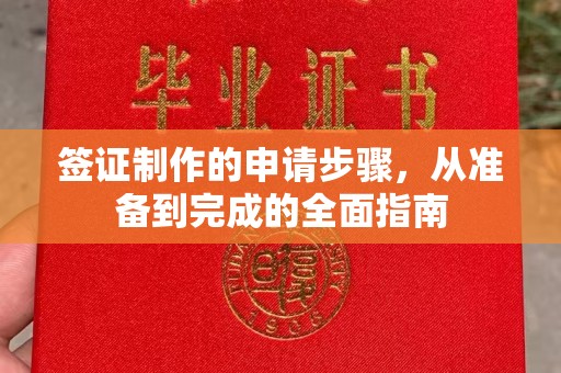 巴楚签证制作的申请步骤，从准备到完成的全面指南