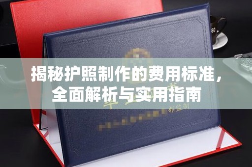 巴楚揭秘护照制作的费用标准，全面解析与实用指南