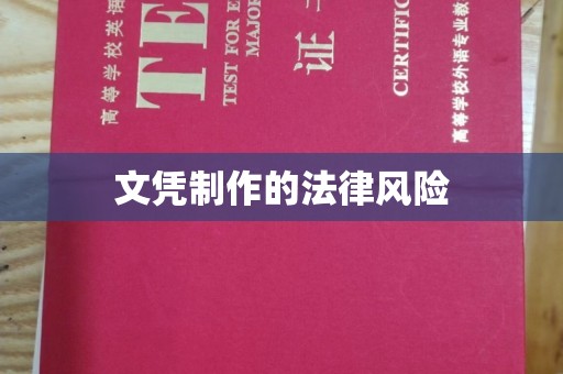 巴楚文凭制作的法律风险