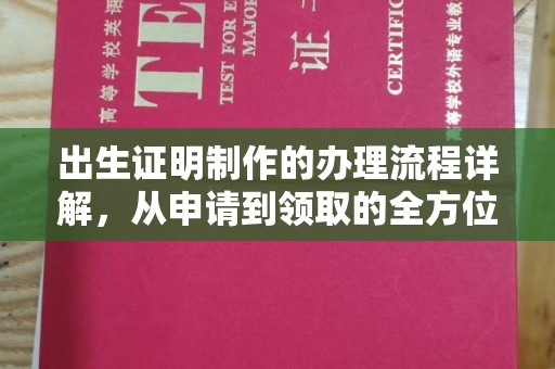 巴楚出生证明制作的办理流程详解，从申请到领取的全方位指南
