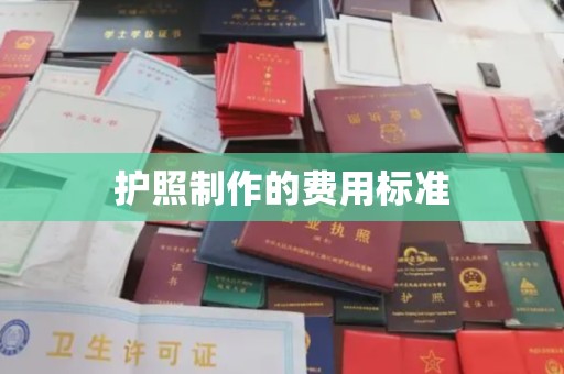 巴楚护照制作的费用标准