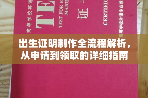 巴楚出生证明制作全流程解析，从申请到领取的详细指南