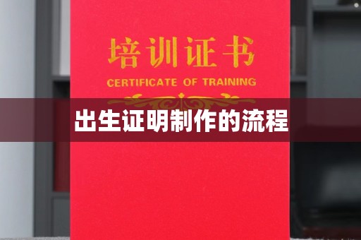 巴楚出生证明制作的流程