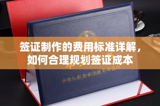 巴楚签证制作的费用标准详解，如何合理规划签证成本